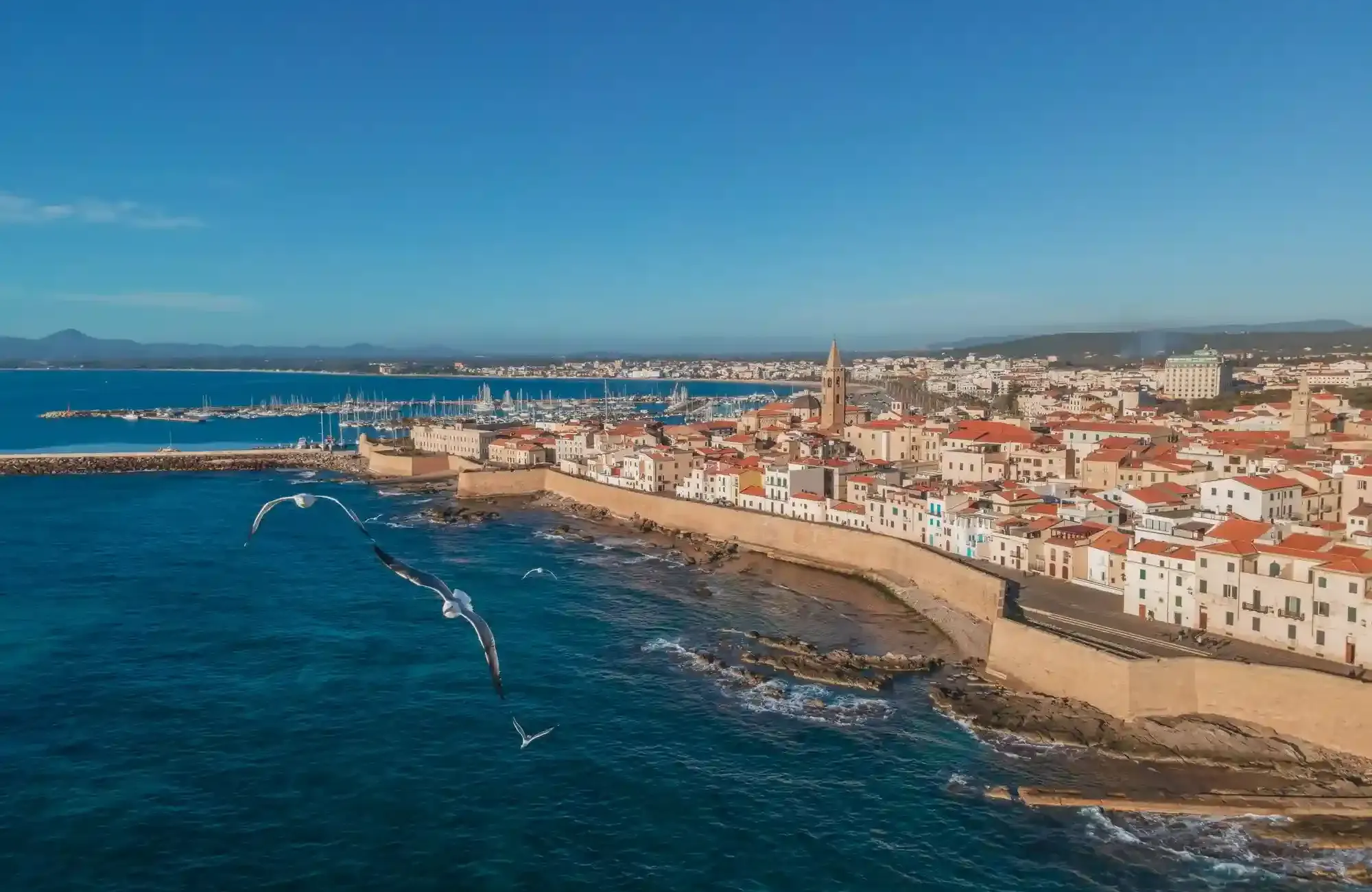 Dove alloggiare ad Alghero – Le migliori zone per famiglie, coppie e viaggiatori singoli